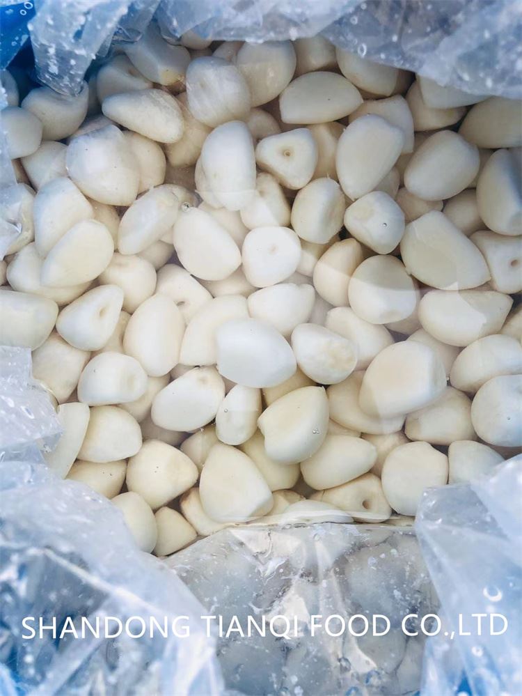 salted garlic in plastic drums salted garlic in plastic drums