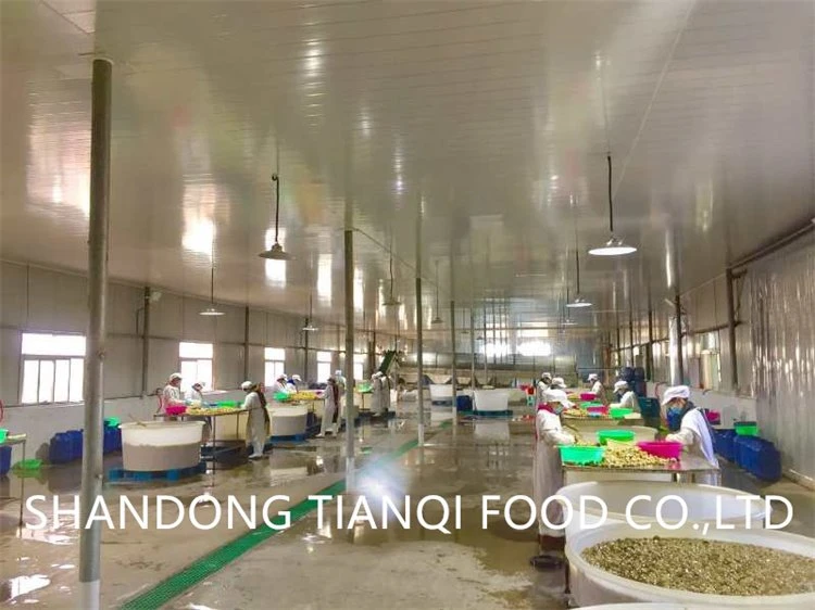 Advanced factory white mushroom in plastic drums