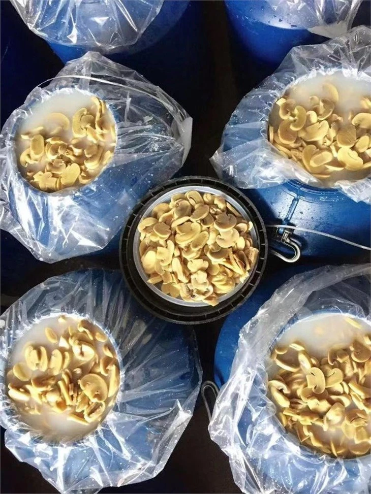 Hot selling sliced champignon mushroom in brine in drums