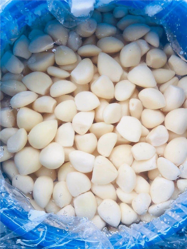 White garlic in brine in drums