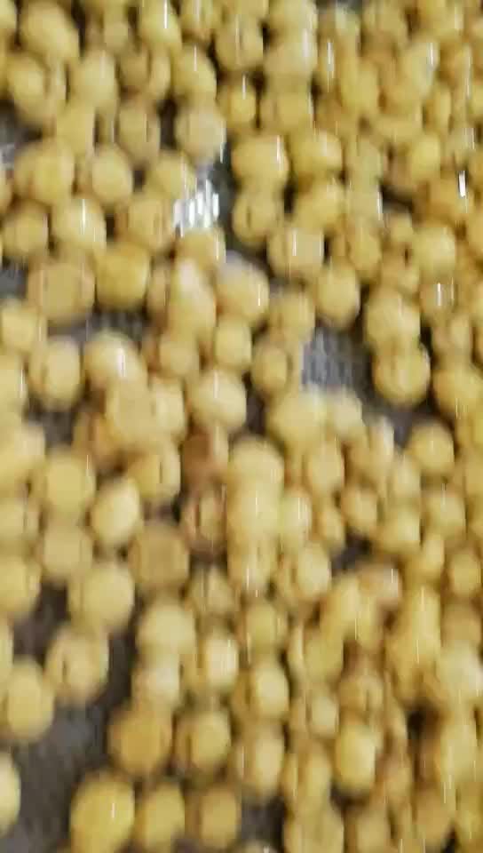 Good quality whole champignon mushroom in SO2 in drums