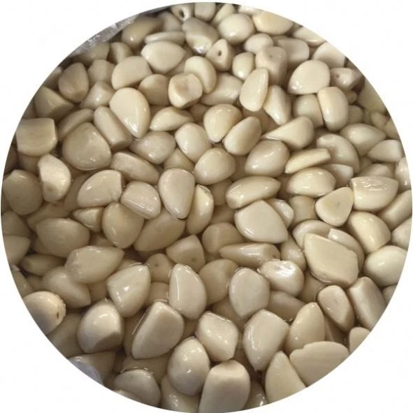 Normal white garlic in salted water in plastic drums