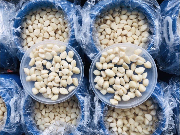 Drum package pickled garlic cloves in brine