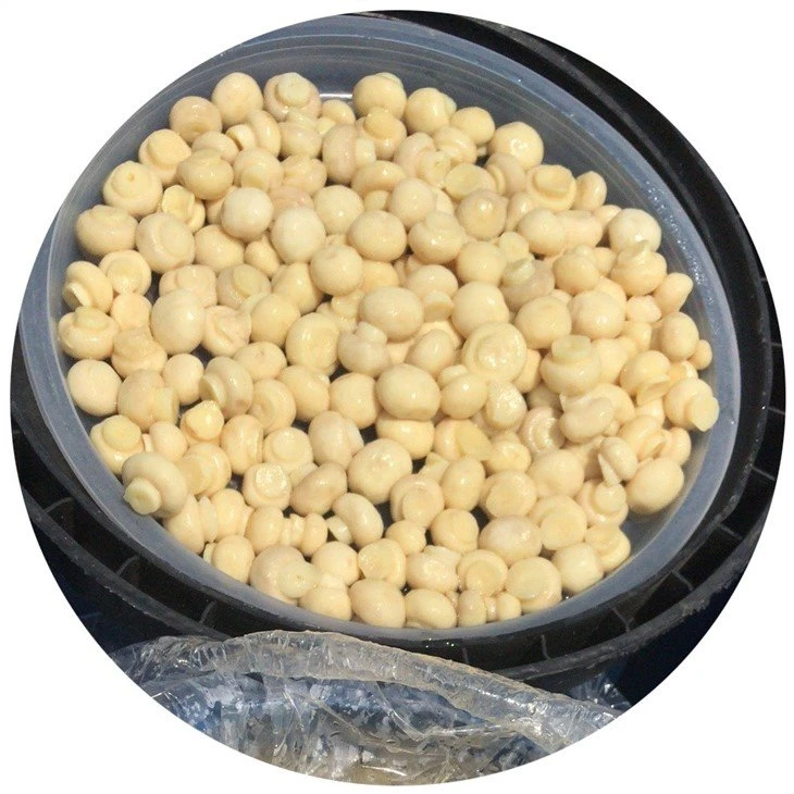 Whole champignon mushroom in vinegar in plastic drums