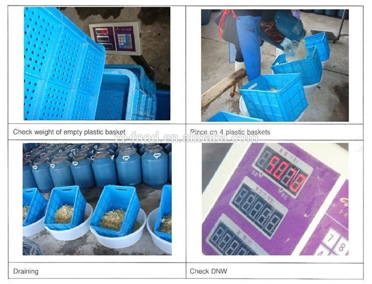 Wholesale white mushroom in salted water in drums