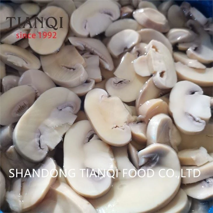 Cheap Price Mushroom in Brine in Drums