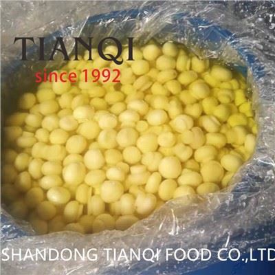 Цели гъби шампиньони в SO2 в пластмасов варел